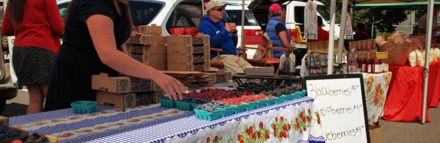 Fresh Berries at the Cannon Beach Farmers market